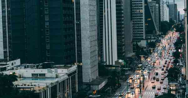 保护动物宣传片中英文_保护动物宣传片中英文短片