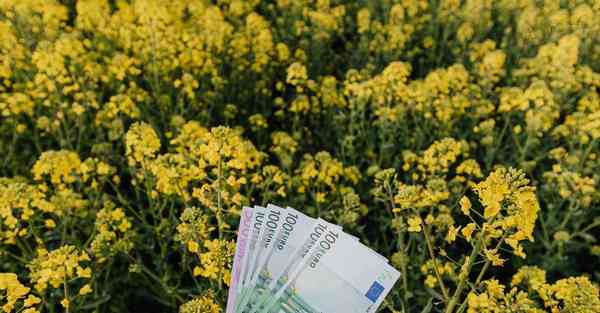 视频宣传模板_视频宣传模板套用