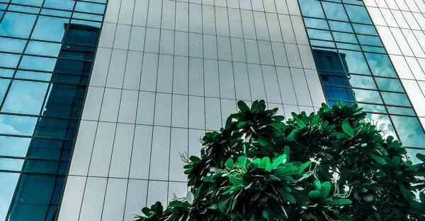 爆款剧情短视频热门