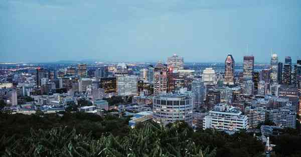 怎么制作宣传片文字_怎么制作宣传砖茶的视频