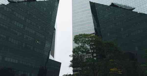 宣传片视频制作报价单_宣传片视频制作软件