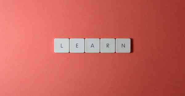 跑男成员出场费_跑男成员出场费排名