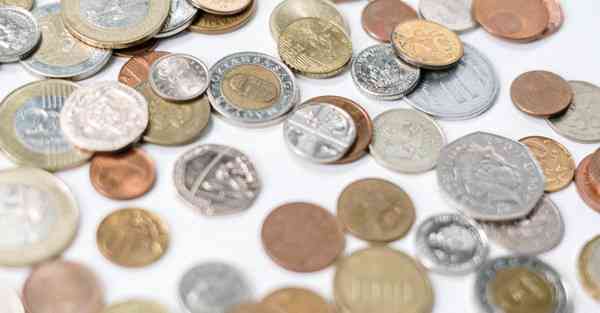 林业招生宣传片制作