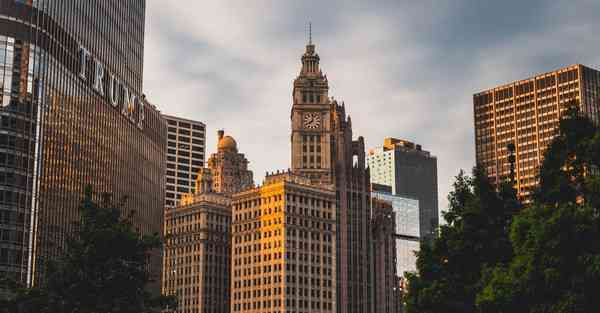 网络技术服务经营范围