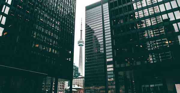 购物平台哪个质量好一点_购物平台哪个质量靠谱