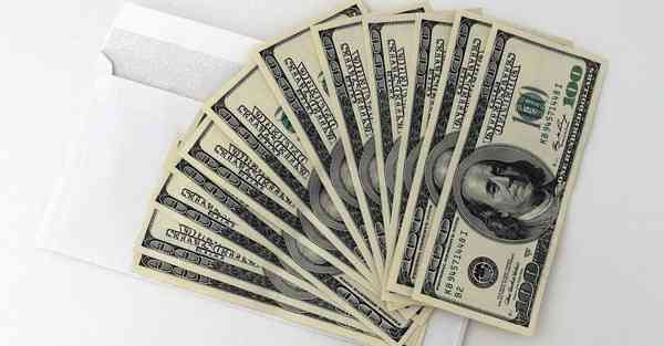 游戏动画改编_游戏动物园