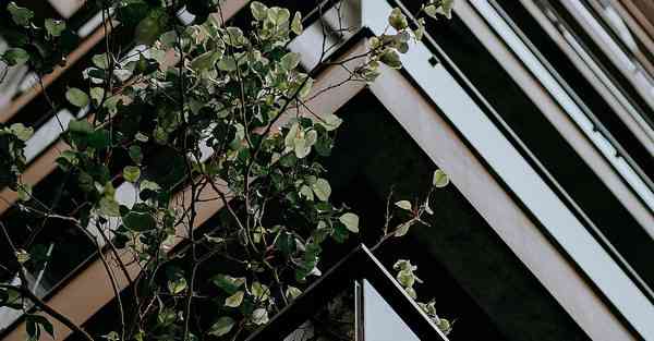 地产宣传片制作_地产宣传片制作公司